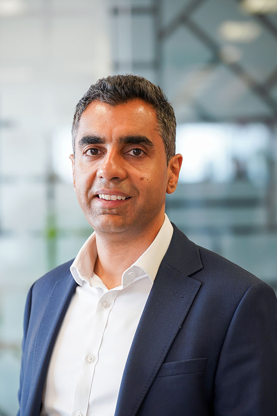 Raj Rajput, MD, Hines