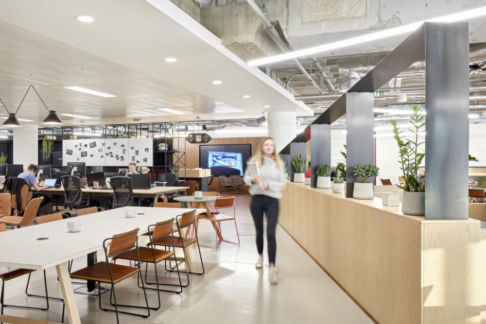 Bespoke joinery is used to create open dividers for different areas of work.