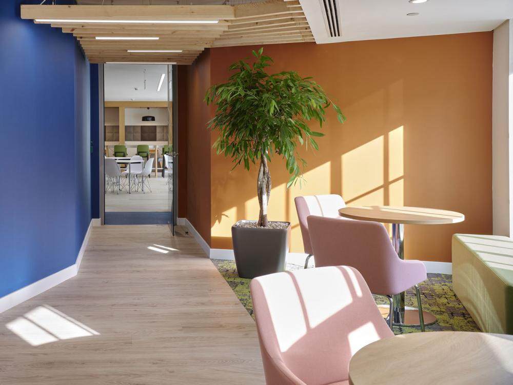 Garden Path leading to the patio