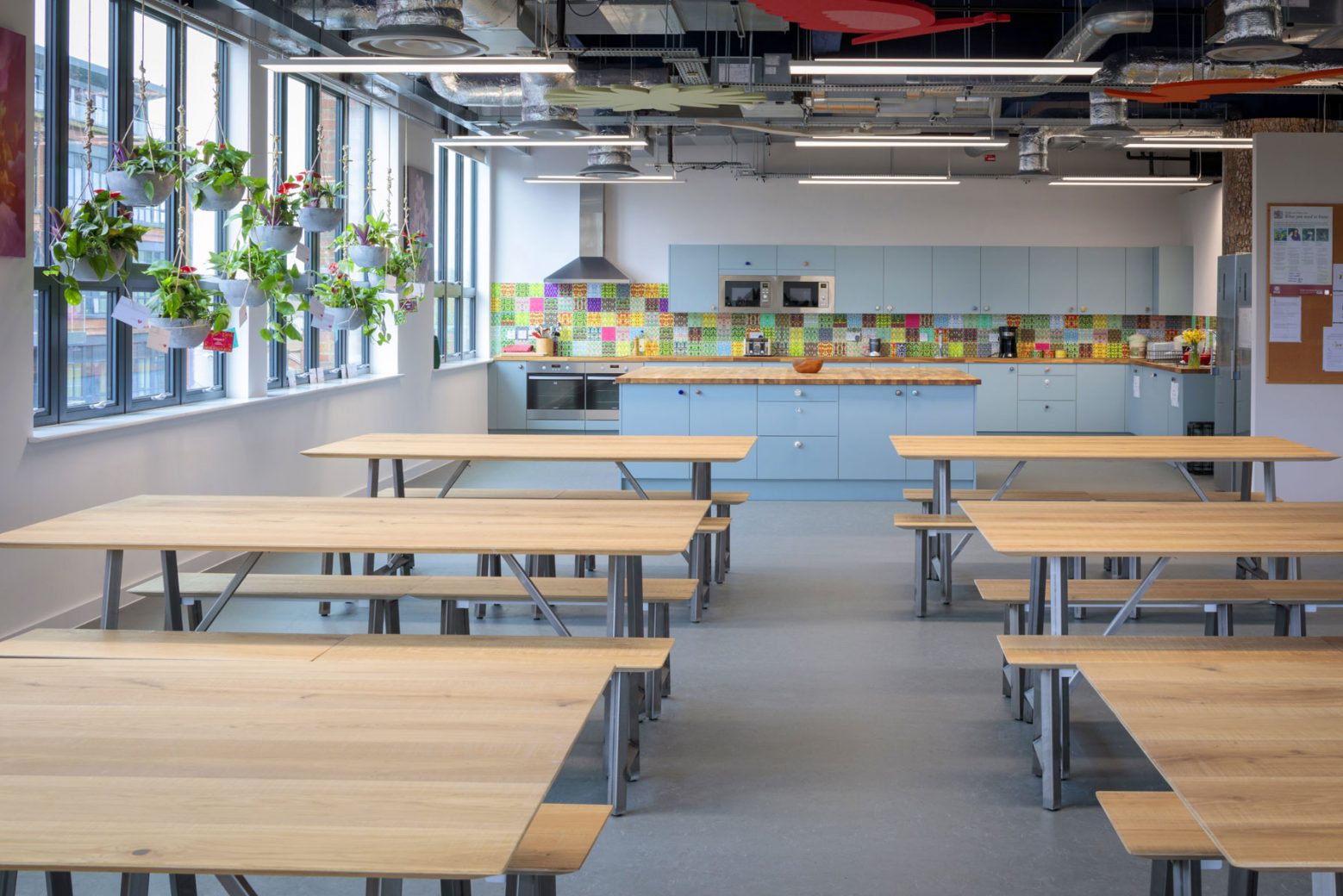 Kitchen-social-space-with-planting-and-acoustic-rafts