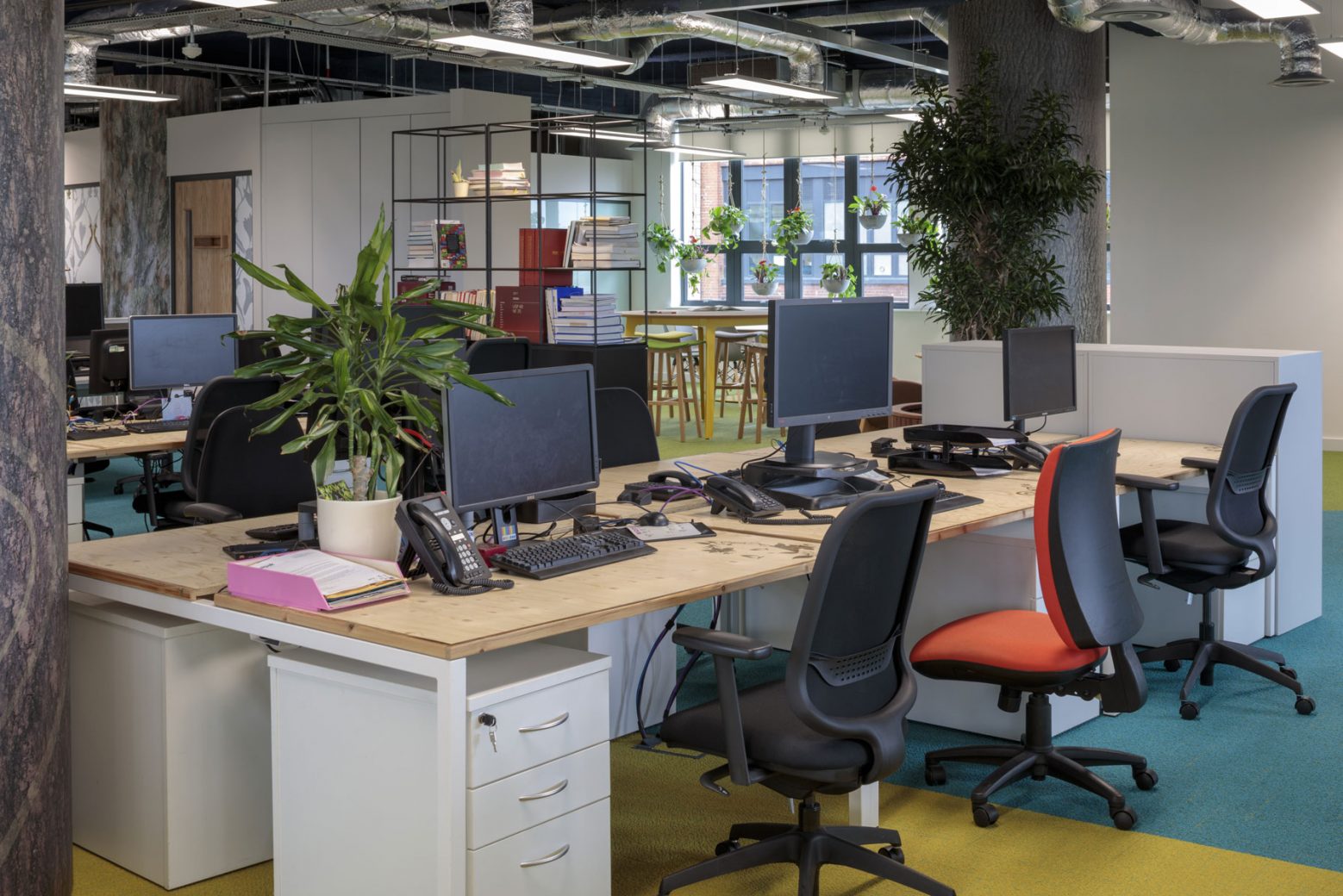 Workspace with biophilic elements and upcycled desks