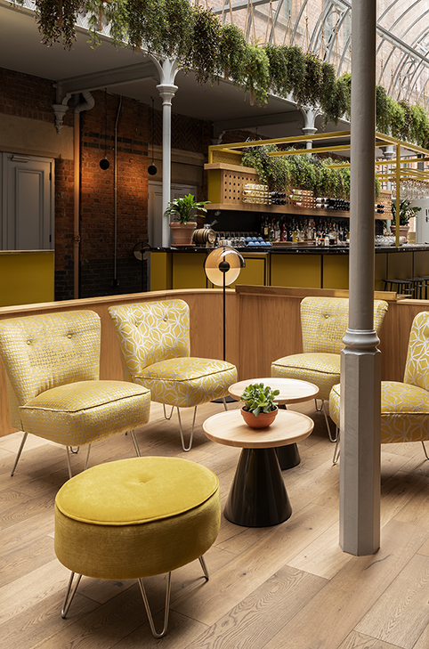 Panaz Lexington Velvet collection at Whitworth Locke, Manchester