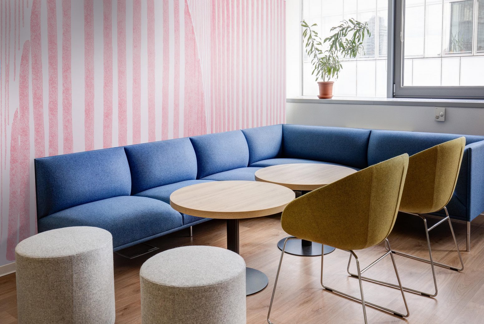 Arch Pink wallcovering in office