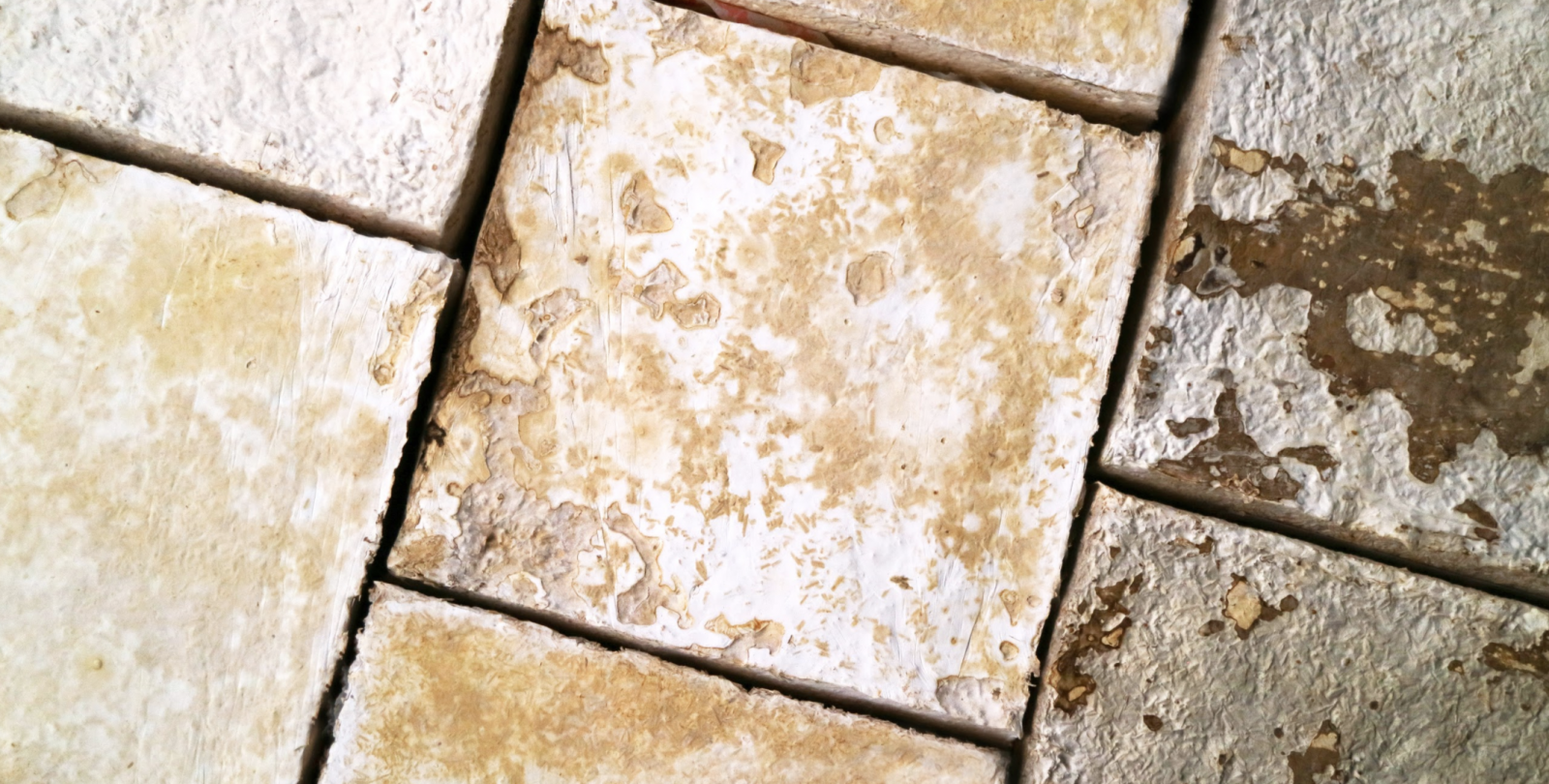 Biohm Mycelium wall panels