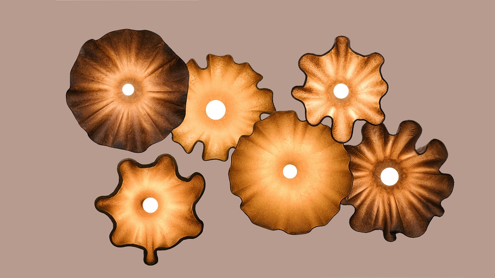 BIOHM-Obscure lights