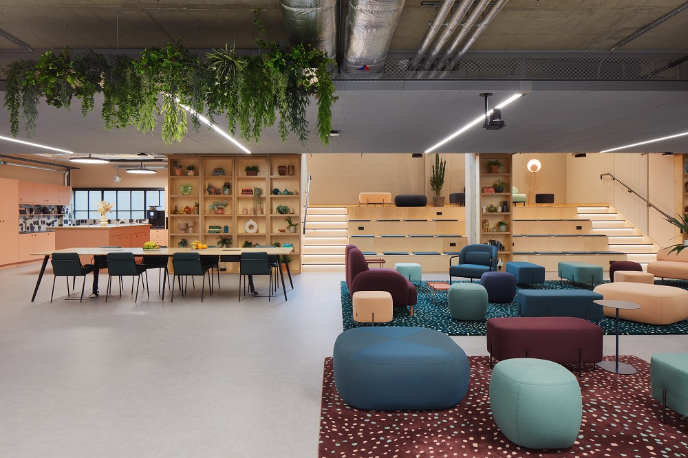 Trifle-MVF Headquarters