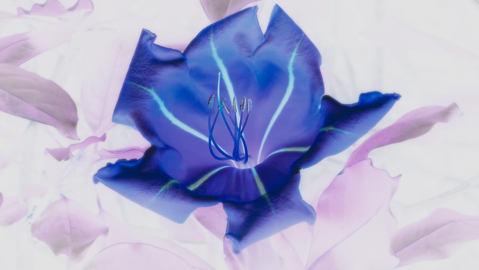Scent design is becoming commonplace in the workplace