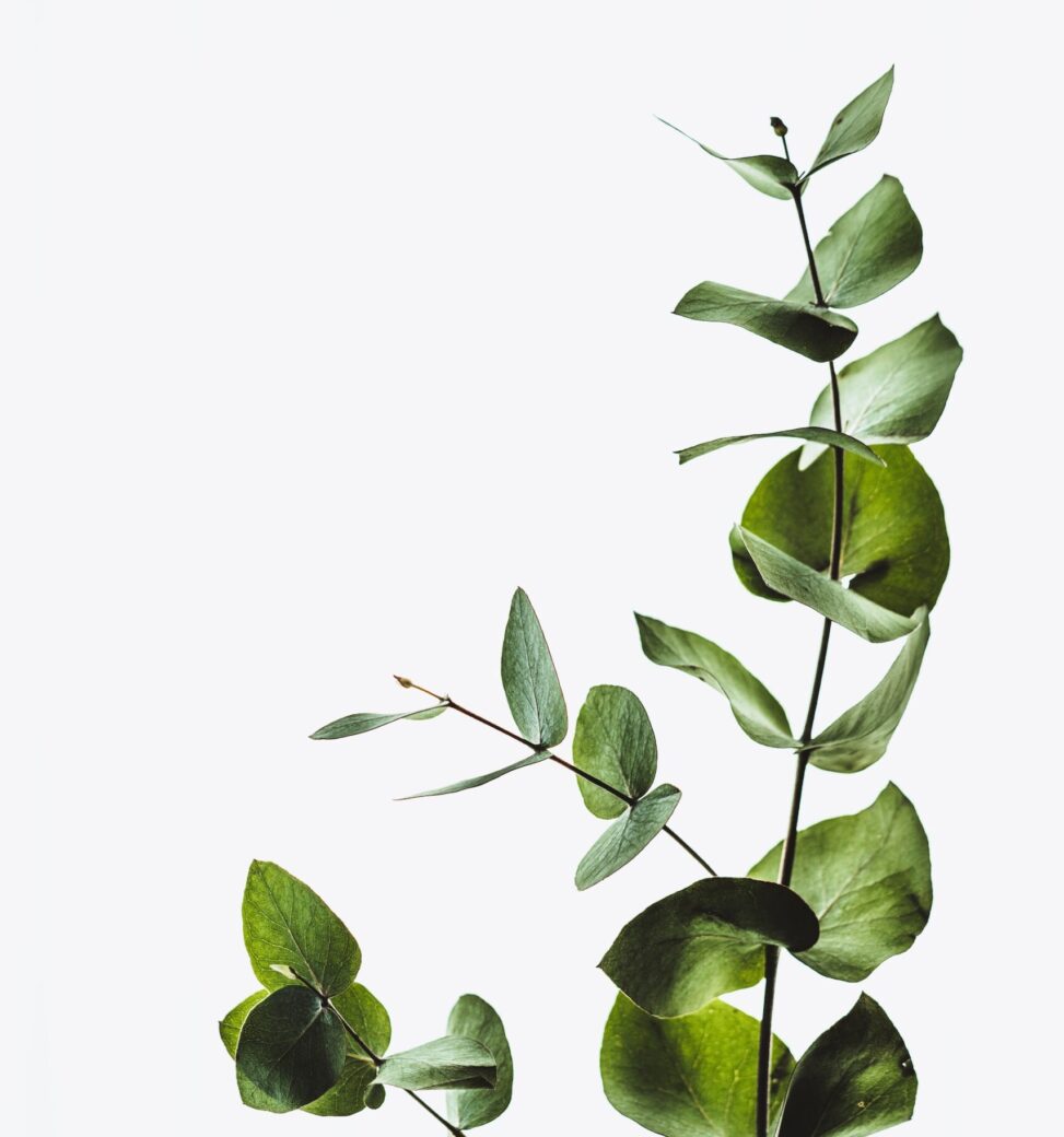 The increasing use of scent in the workplace