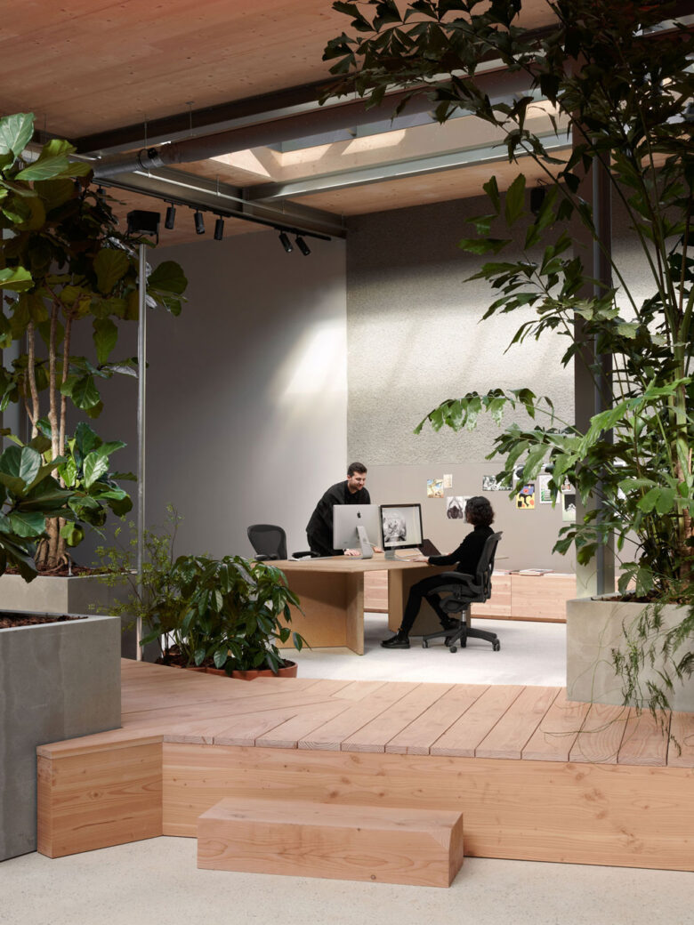 biophilic design random studio workplace