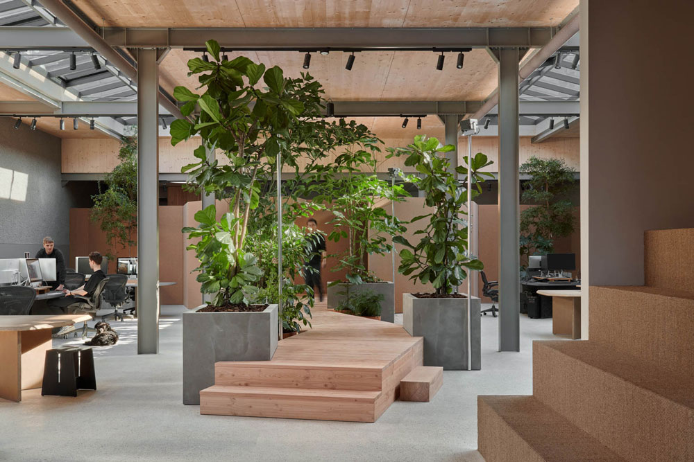 biophilic design random studio workplace natural materials