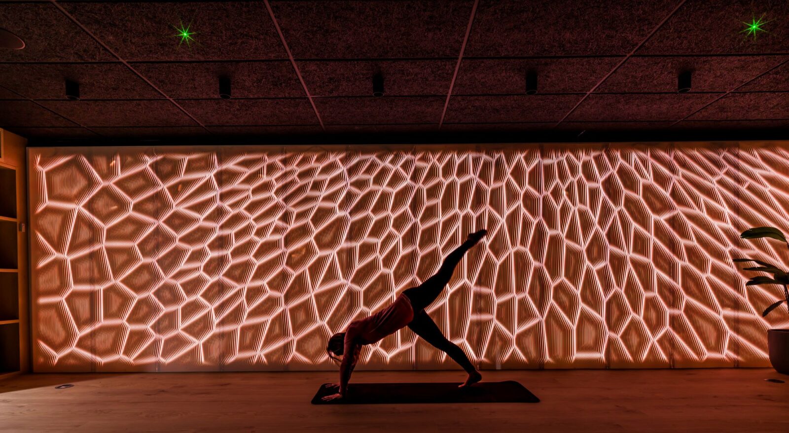 Glasshouse at Alderley Park, Nest - Yoga Studio