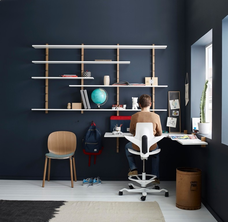 HAG Capisco Puls Chair - Home Desk