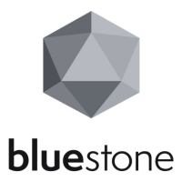 Bluestone Leasing