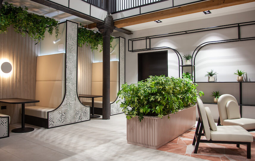 Mixology North23, Project of the Year, Workplace, Rucreative