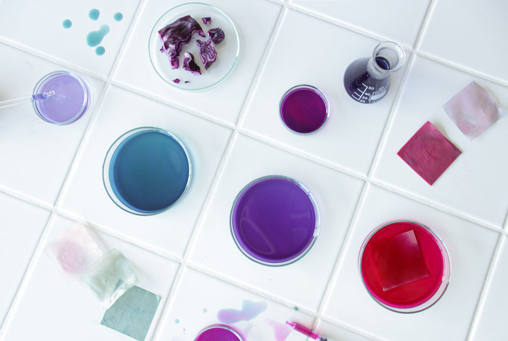 Studio Lionne van Deursen